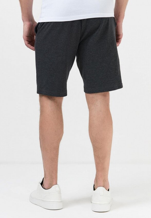 Шорты спортивные Envylab