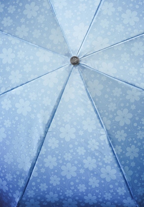 Зонт складной Trust