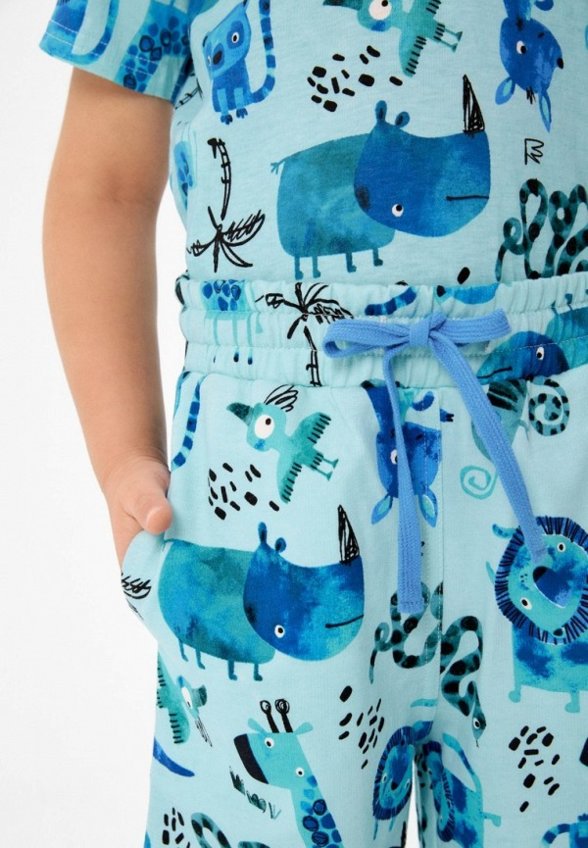 Шорты спортивные Acoola