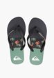 Сланцы Quiksilver4  - превью