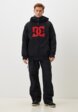 Брюки сноубордические DC Shoes2  - превью