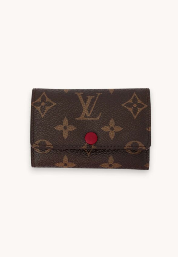Louis Vuitton Case