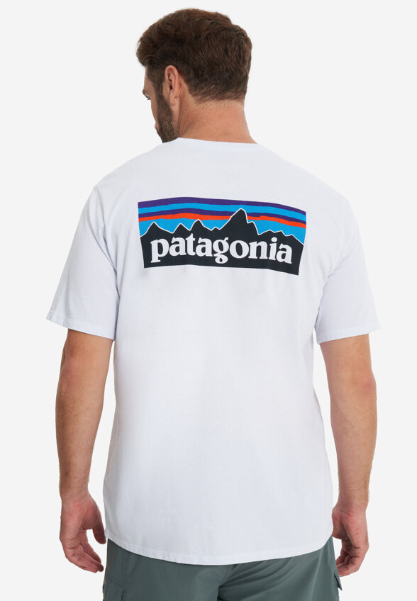 Футболка мужская Patagonia Logo, Белый