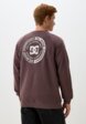 Свитшот DC Shoes3  - превью