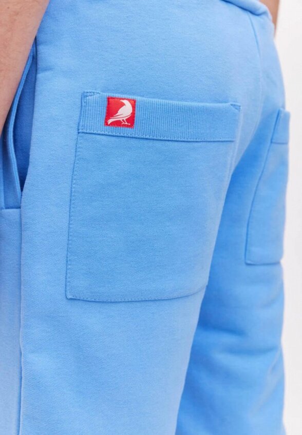 Шорты спортивные Gvalt