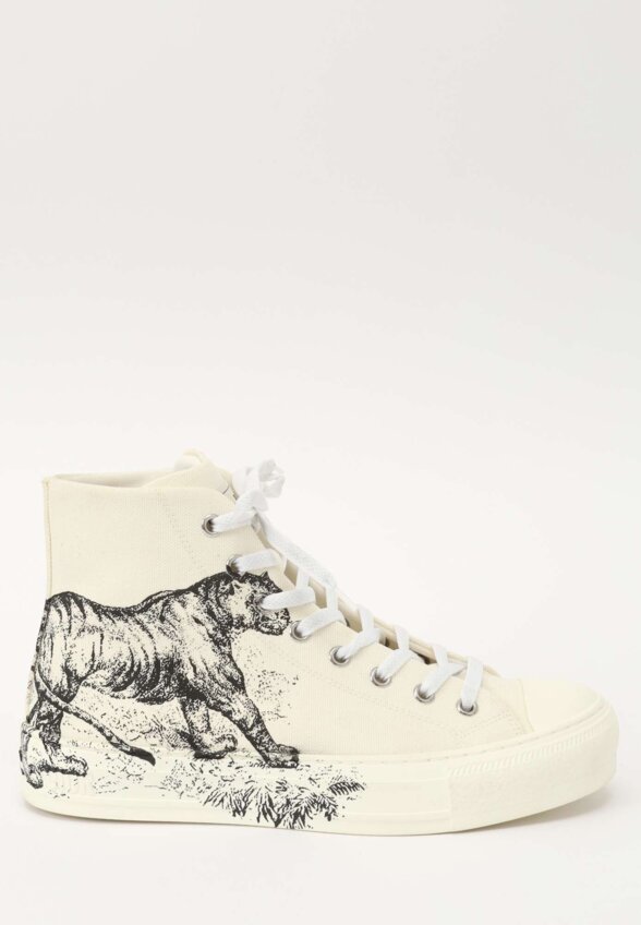 Dior Shoes