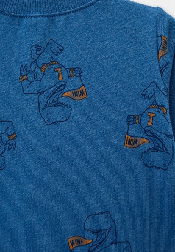 Свитшот Carter’s