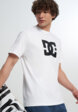 Футболка мужская DC Shoes Star, Белый1  - превью
