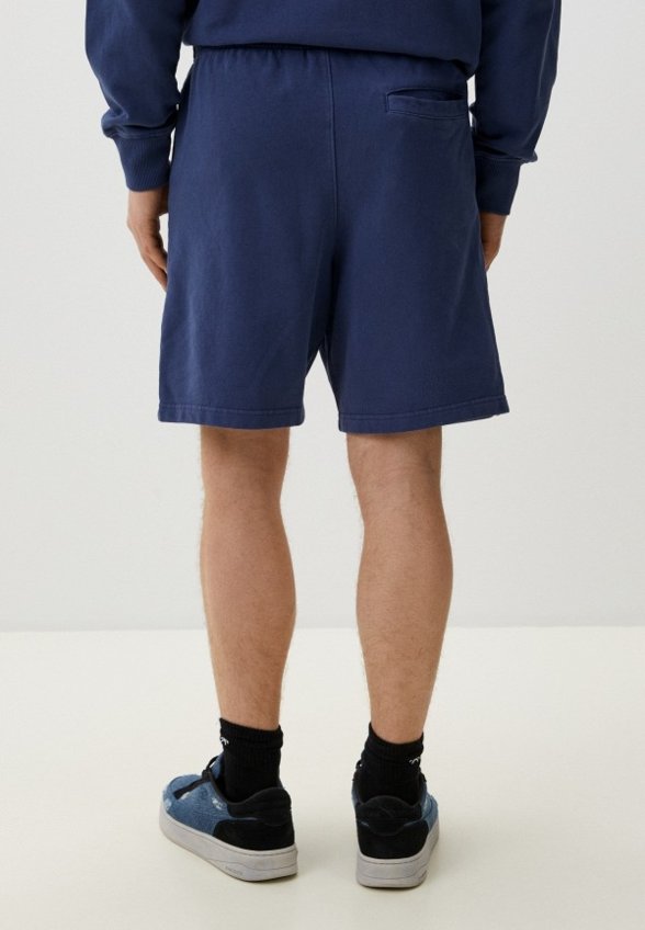 Шорты спортивные Element