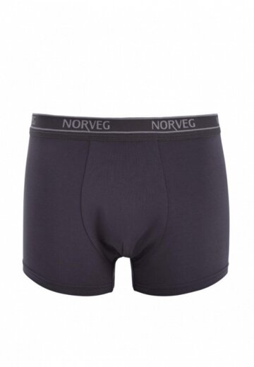 Трусы Norveg
