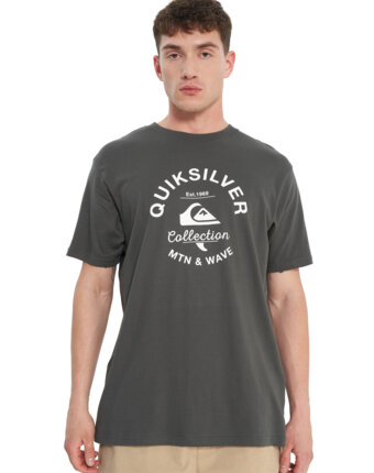 Футболка мужская Quiksilver Bombshell Flaxton, Серый женщинам