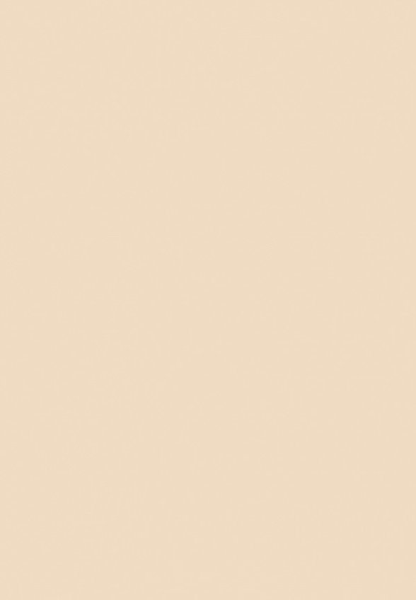 Консилер Shik