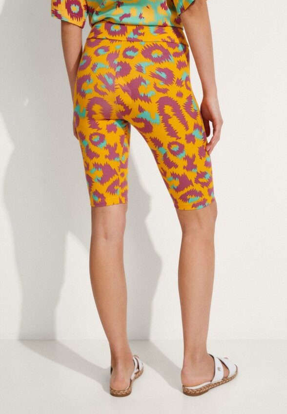 Шорты спортивные Termit