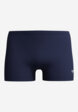 Плавки-шорты мужские Speedo Logo, Синий7  - превью