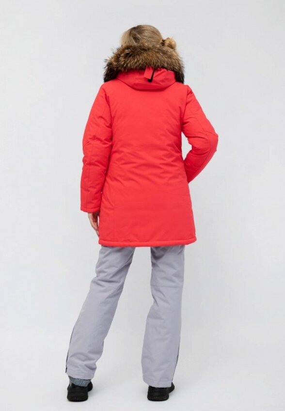 Парка High Experience