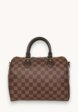 Louis Vuitton Speedy1  - превью