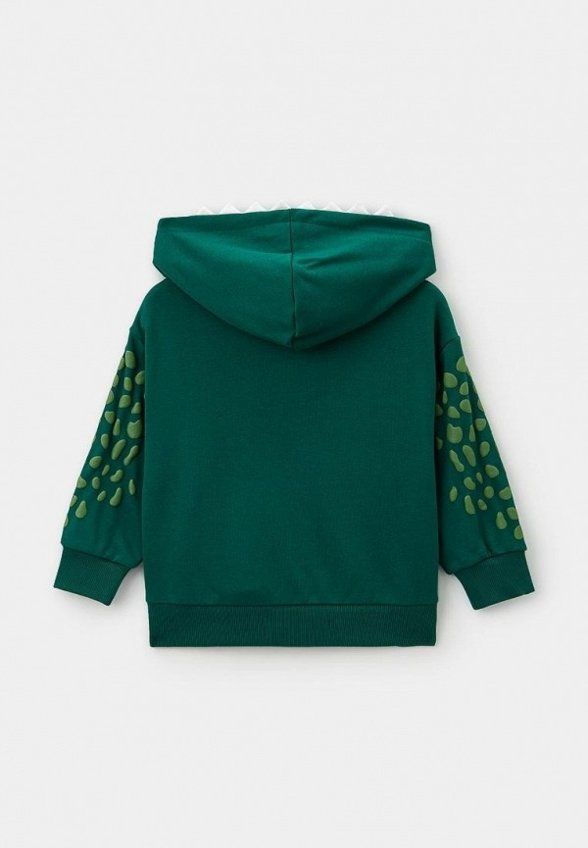 Толстовка Acoola