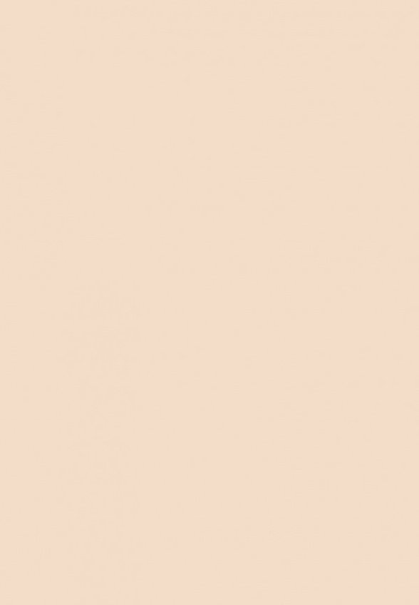 Пудра компактная Divage