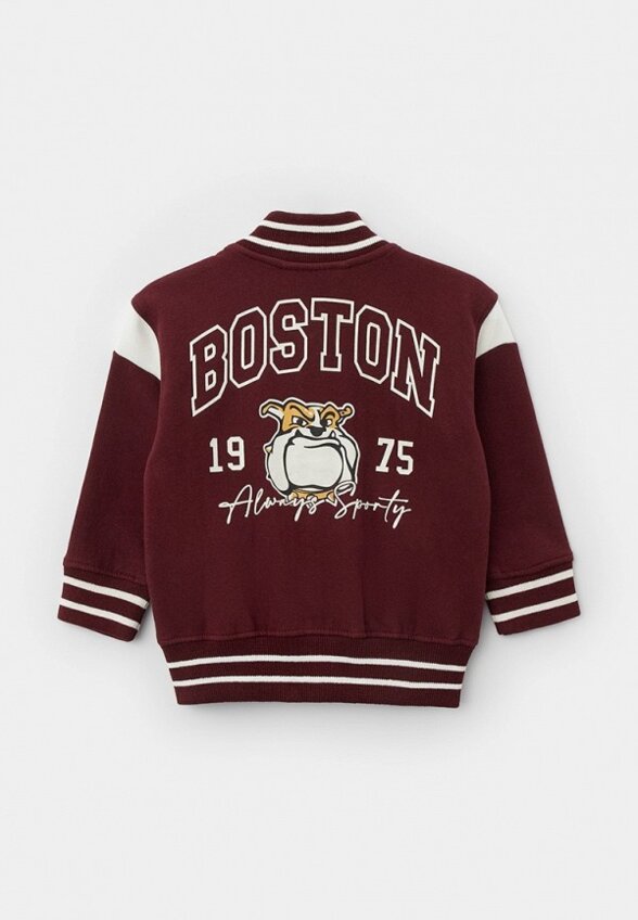 Олимпийка Terranova