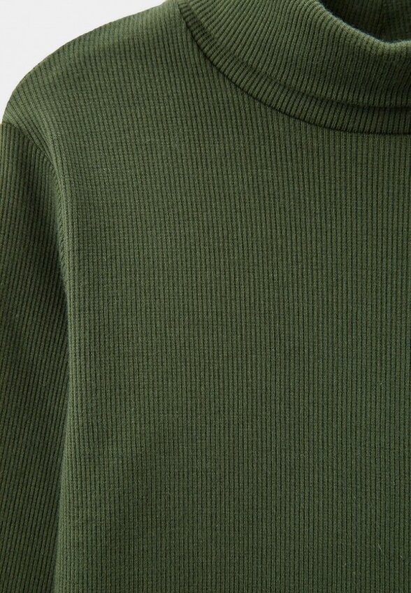 Водолазка Pelican