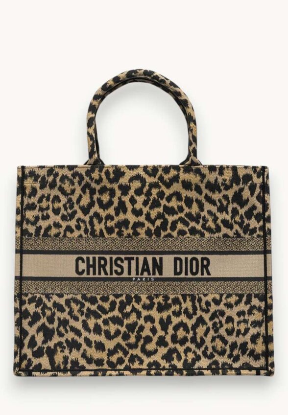 Dior Book Tote