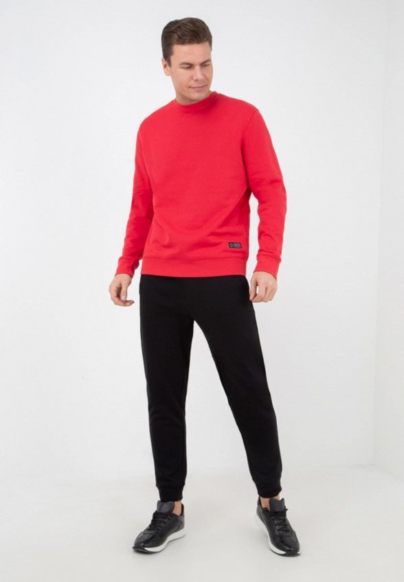 Брюки спортивные Thomas Berger