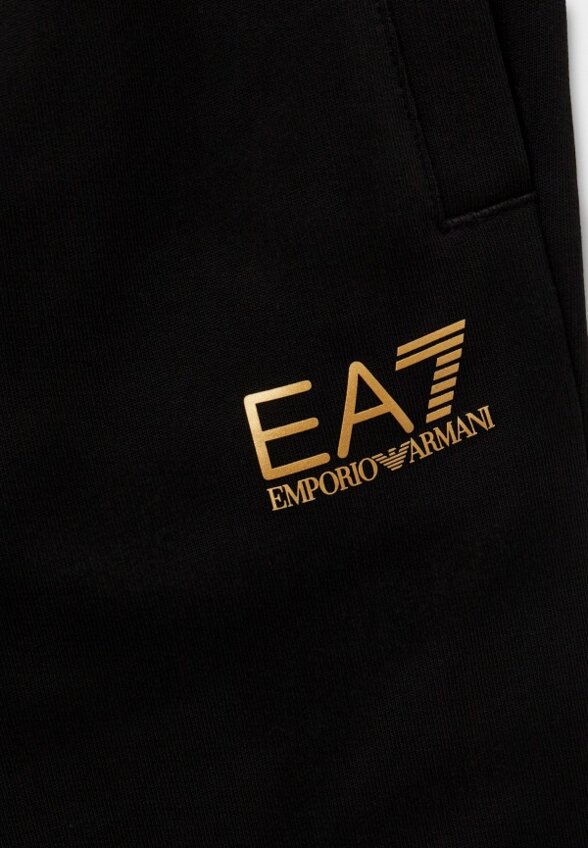 Брюки спортивные EA7