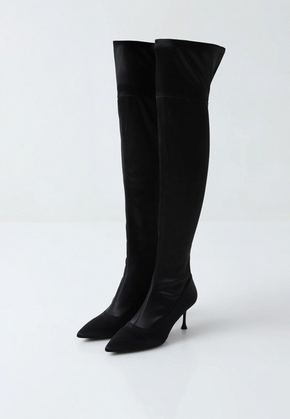 Ботфорты Passegiata