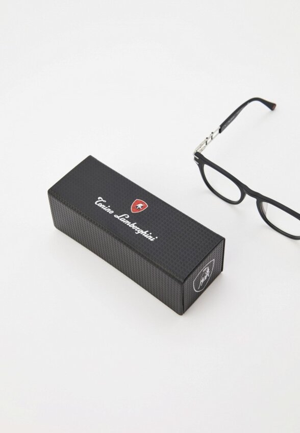 Очки для компьютера Tonino Lamborghini