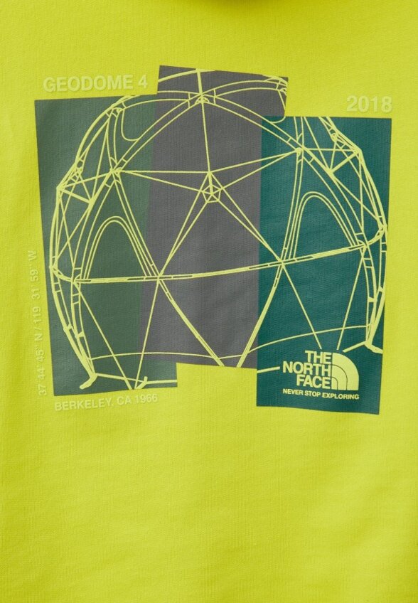 Худи The North Face