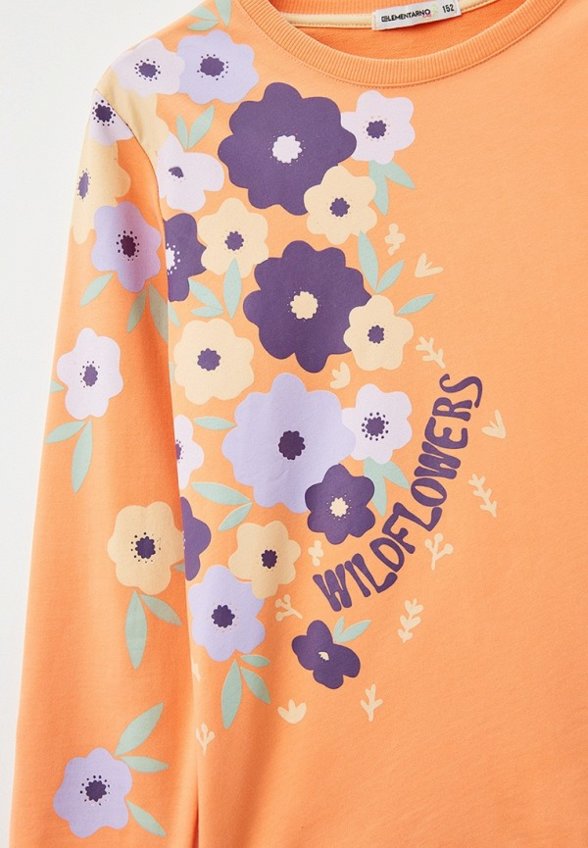 Свитшот Elementarno