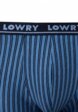Трусы Lowry Collection3  - превью