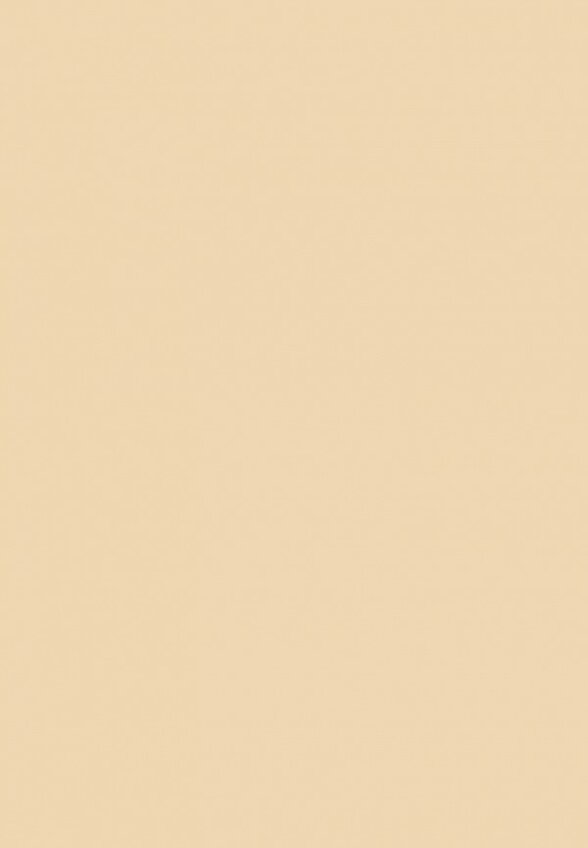 Пудра компактная Astra