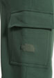 Брюки мужские The North Face Cargo Jogger, Зеленый6  - превью