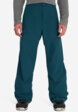 Брюки сноубордические мужские DC Shoes Snow Chino, Зеленый2  - превью