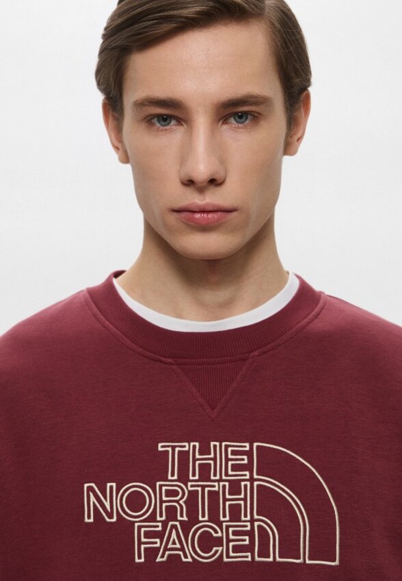 Свитшот The North Face