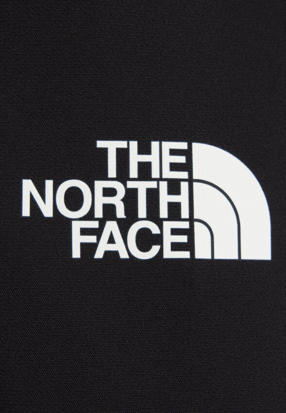 Брюки мужские The North Face M Diablo Reg, Черный