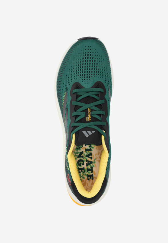 Кроссовки мужские adidas Supernova Rise Earth Day, Зеленый