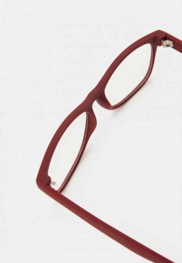 Очки для компьютера Lectio Risus