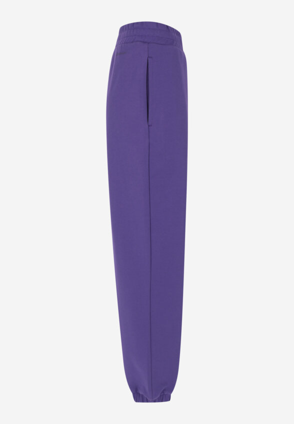 Брюки женские оверсайз Demix, Plus Size, Фиолетовый