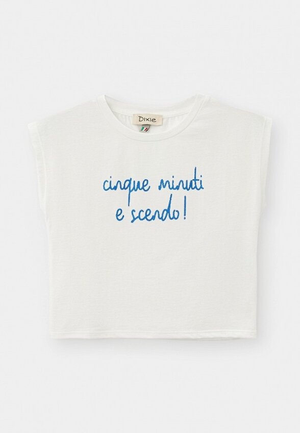 Футболка Dixie