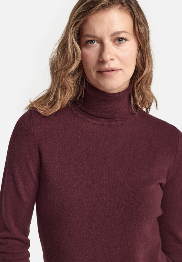 Водолазка Falconeri