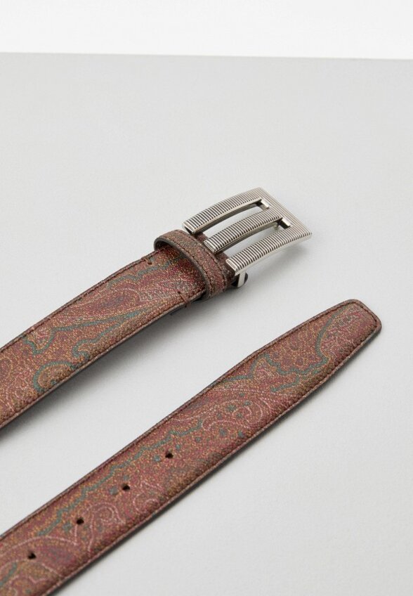 Ремень Etro