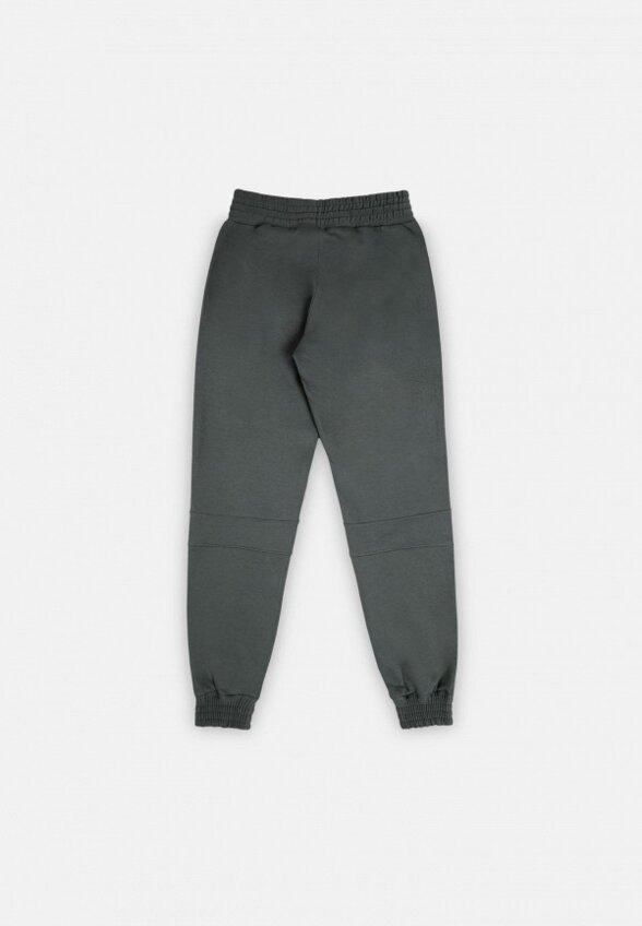 Брюки спортивные Индивид