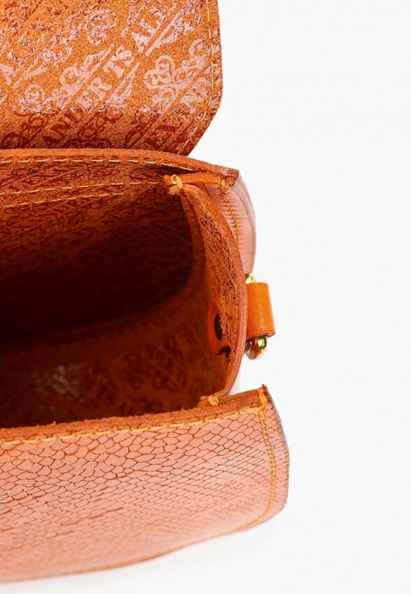 Сумка Alexander Tsiselsky