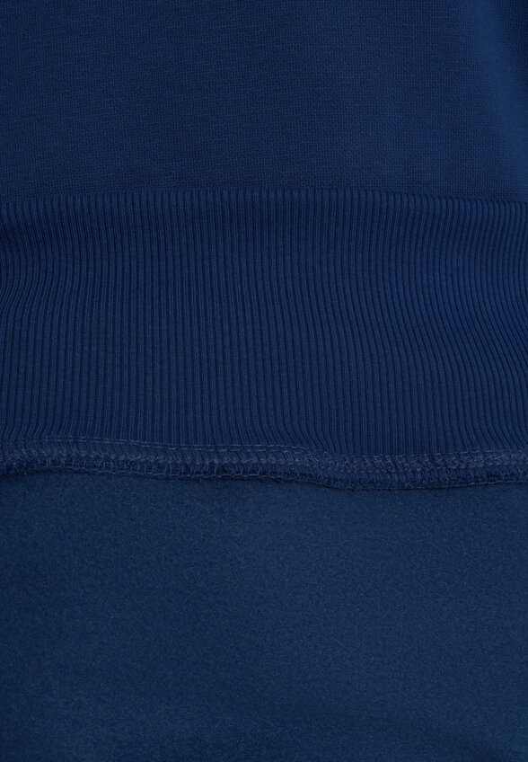 Худи мужское The North Face Raglan Box Nse, Синий