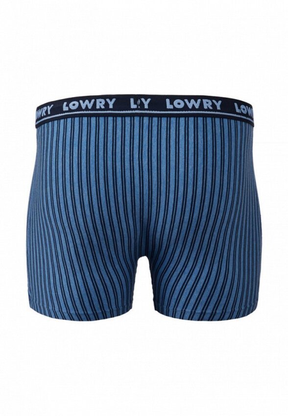 Трусы Lowry Collection