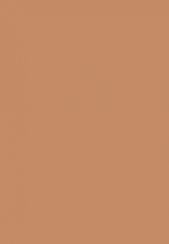 Тональная сыворотка Make Up Factory