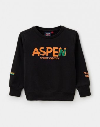Свитшот Aspen Polo Club детям