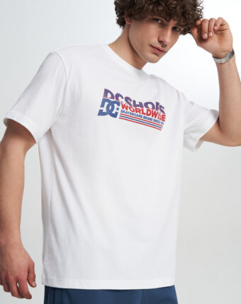 Футболка мужская DC Shoes Queltra, Белый женщинам